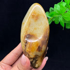 和田玉聚黄皮籽料（548.2g）
