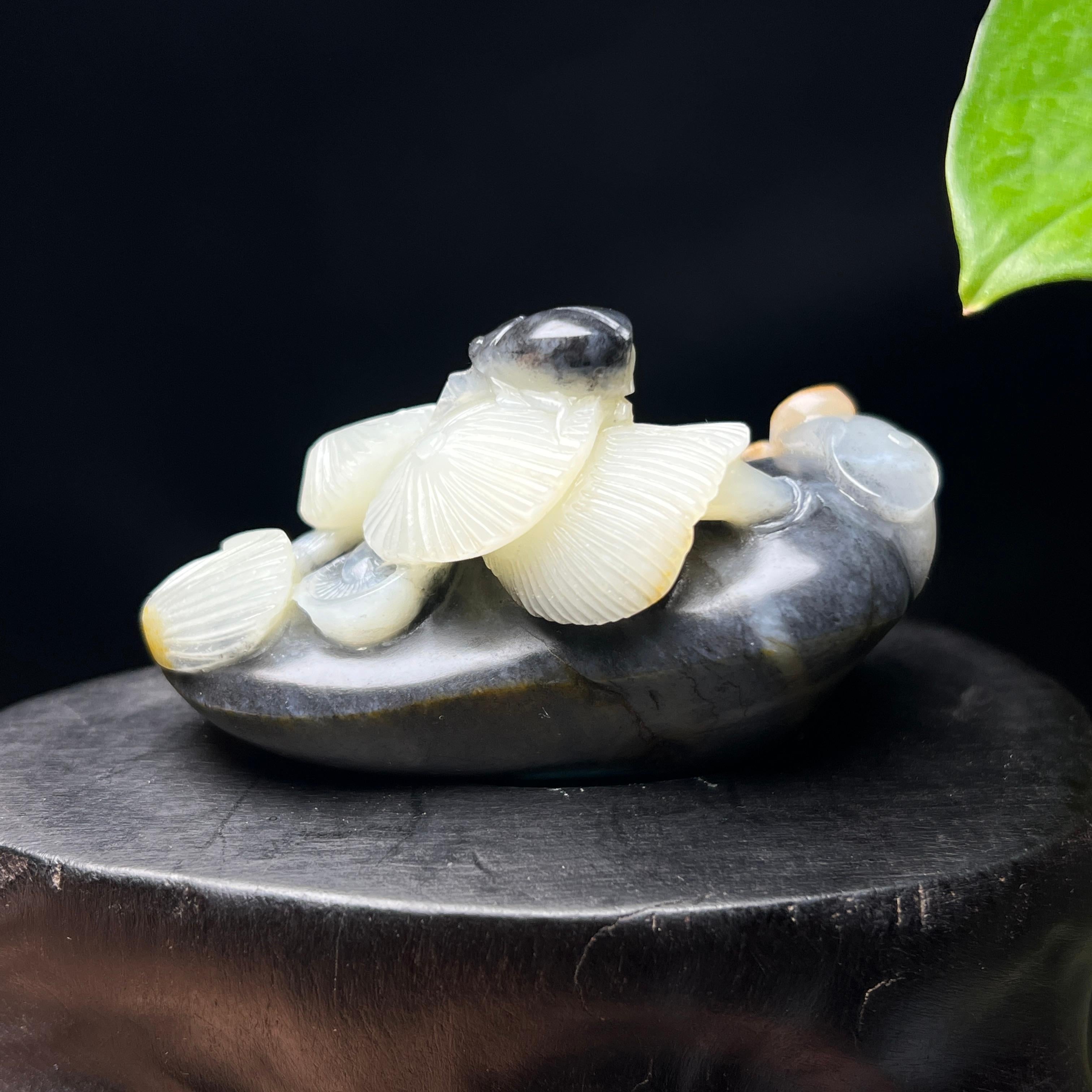 和田玉籽料红皮三色青花富甲天下摆件（89.2g）