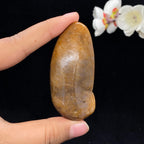 和田玉桃花玉带黄皮籽料（55.6g）