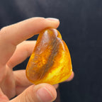 和田玉籽料观音（43.5g）