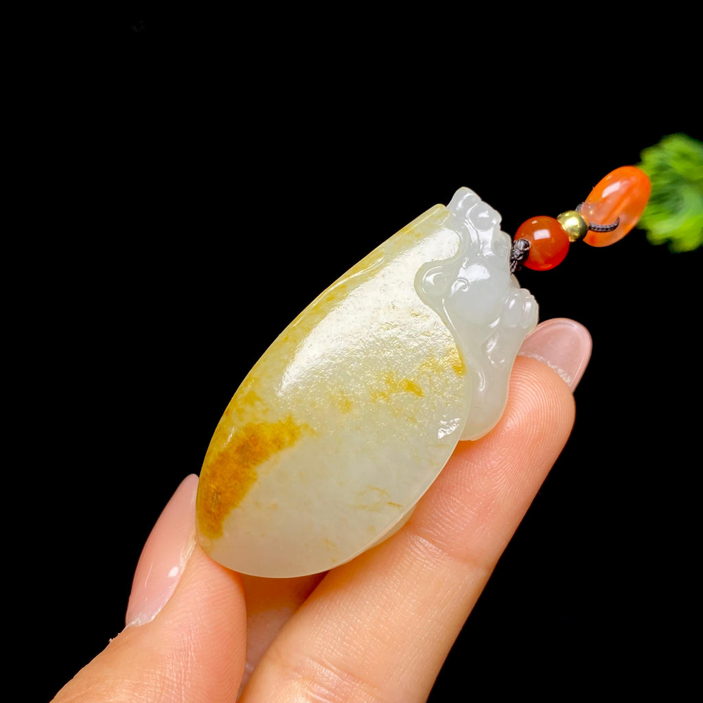 和田玉籽料龙龟（37.3g）
