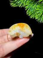 和田玉籽料红皮龙龟（34.2g）