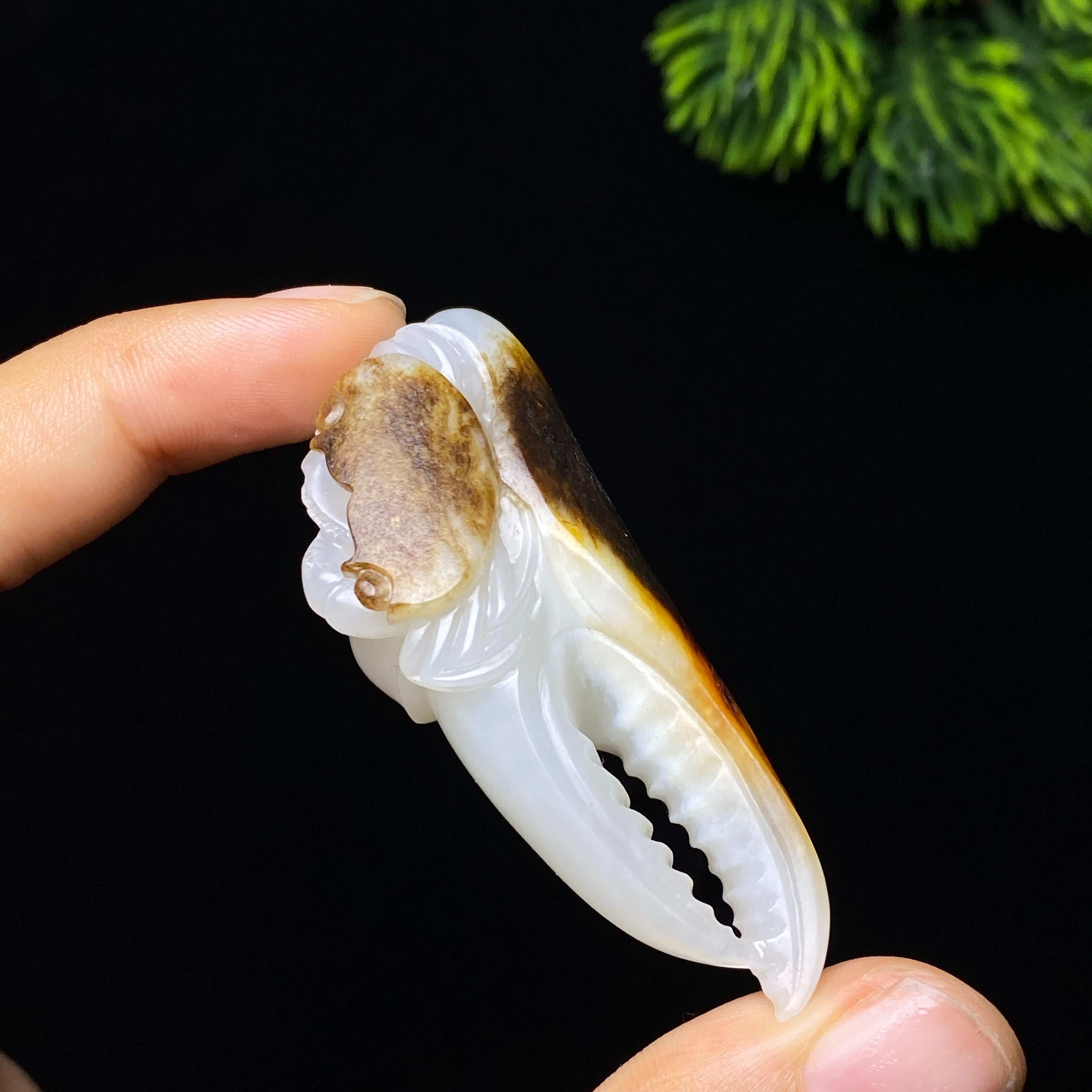 和田玉籽料八方来财（26.0g）