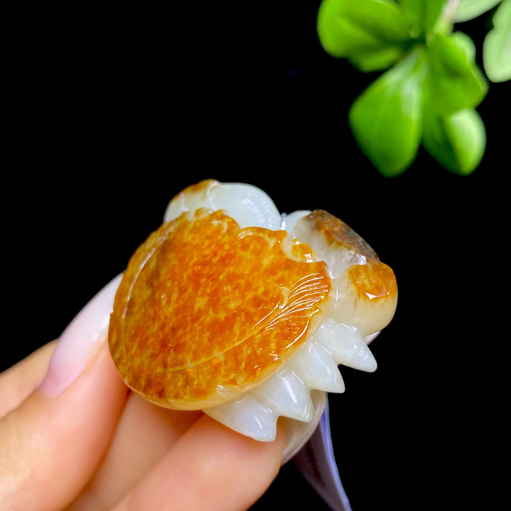 和田玉籽料八方来财HZ2606073045（27.0g）
