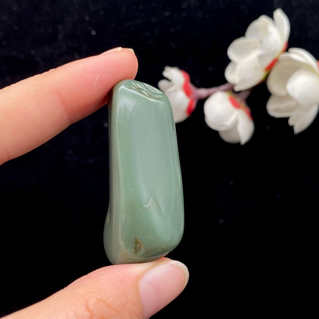 和田玉沙枣青籽料（21.3g）