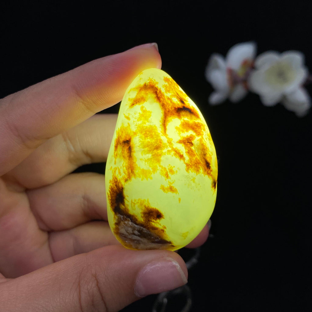和田玉黄皮籽料（33.3g）
