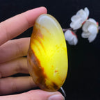和田玉洒金皮籽料（61.2g）