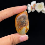 【超值推荐】和田玉聚黄皮籽料挂件（34.3g）