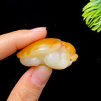 和田玉籽料龙龟（32.1g）