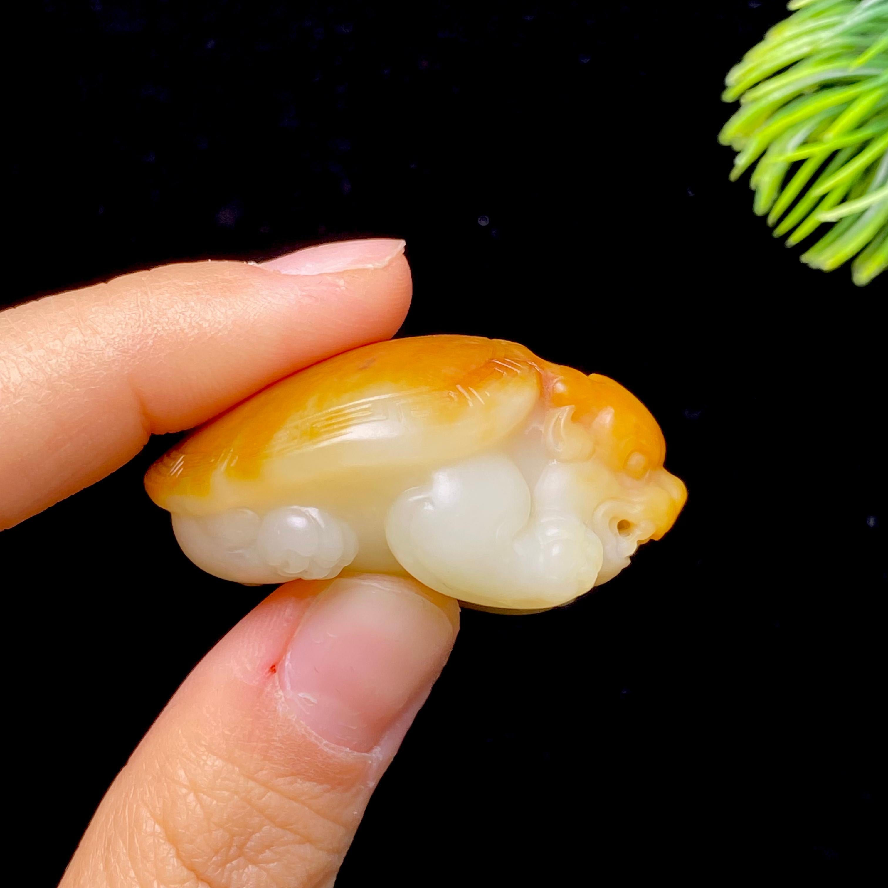 和田玉籽料龙龟（32.1g）