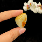 和田玉红皮籽料吊坠籽（14.1g）