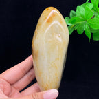 和田玉聚黄皮籽料（548.2g）