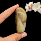 和田玉秋梨皮籽料手把件（122.3g）