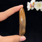 和田玉桃花玉带黄皮籽料（55.6g）