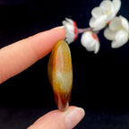 和田玉聚红皮籽料挂件（23.5g）