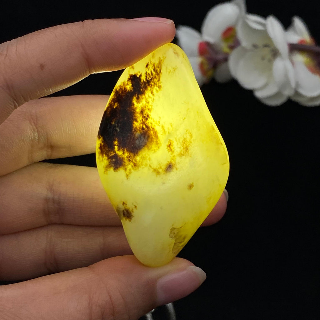 和田玉秋梨黑皮籽料（57.1g）