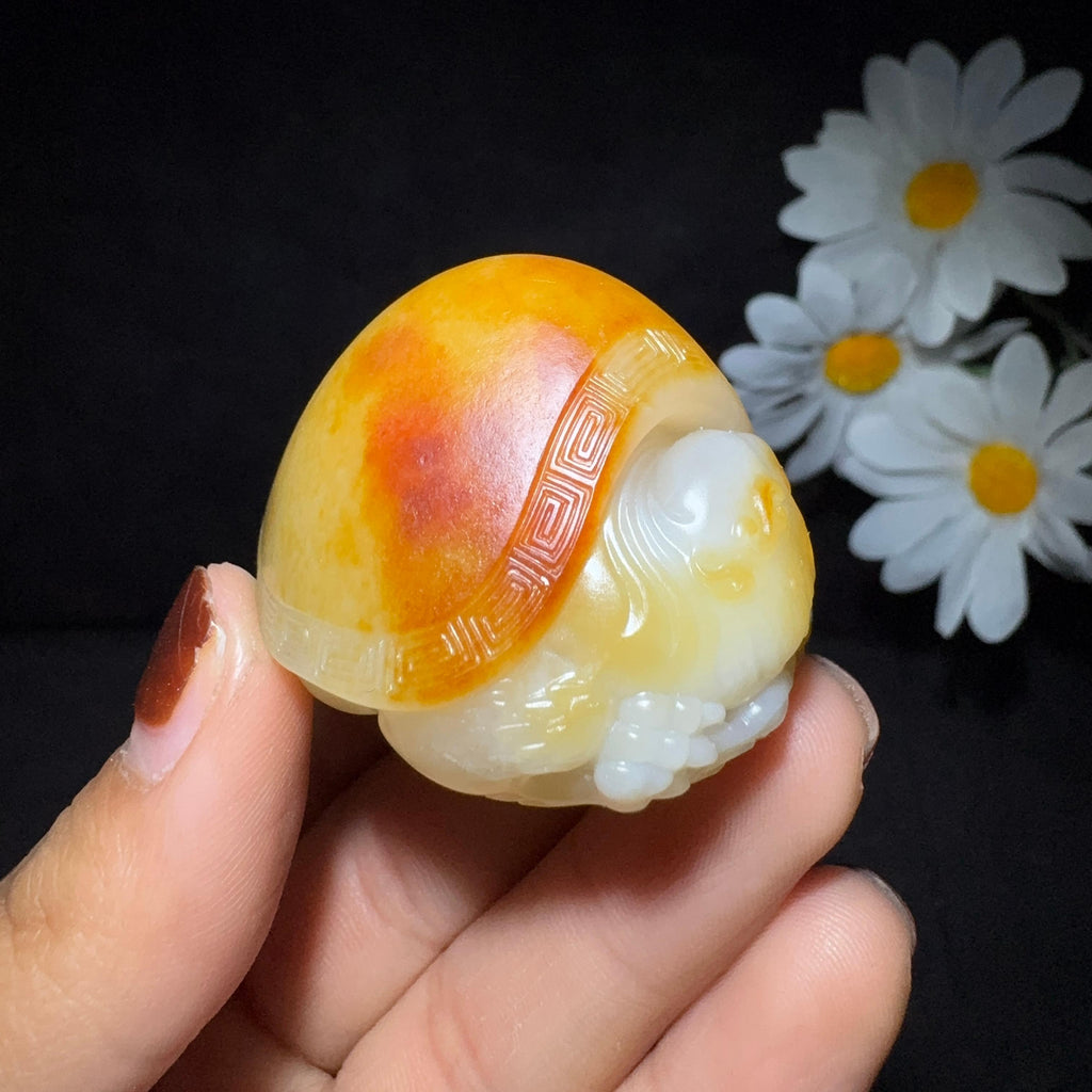精品和田玉籽料手把件龙龟（69.7g）