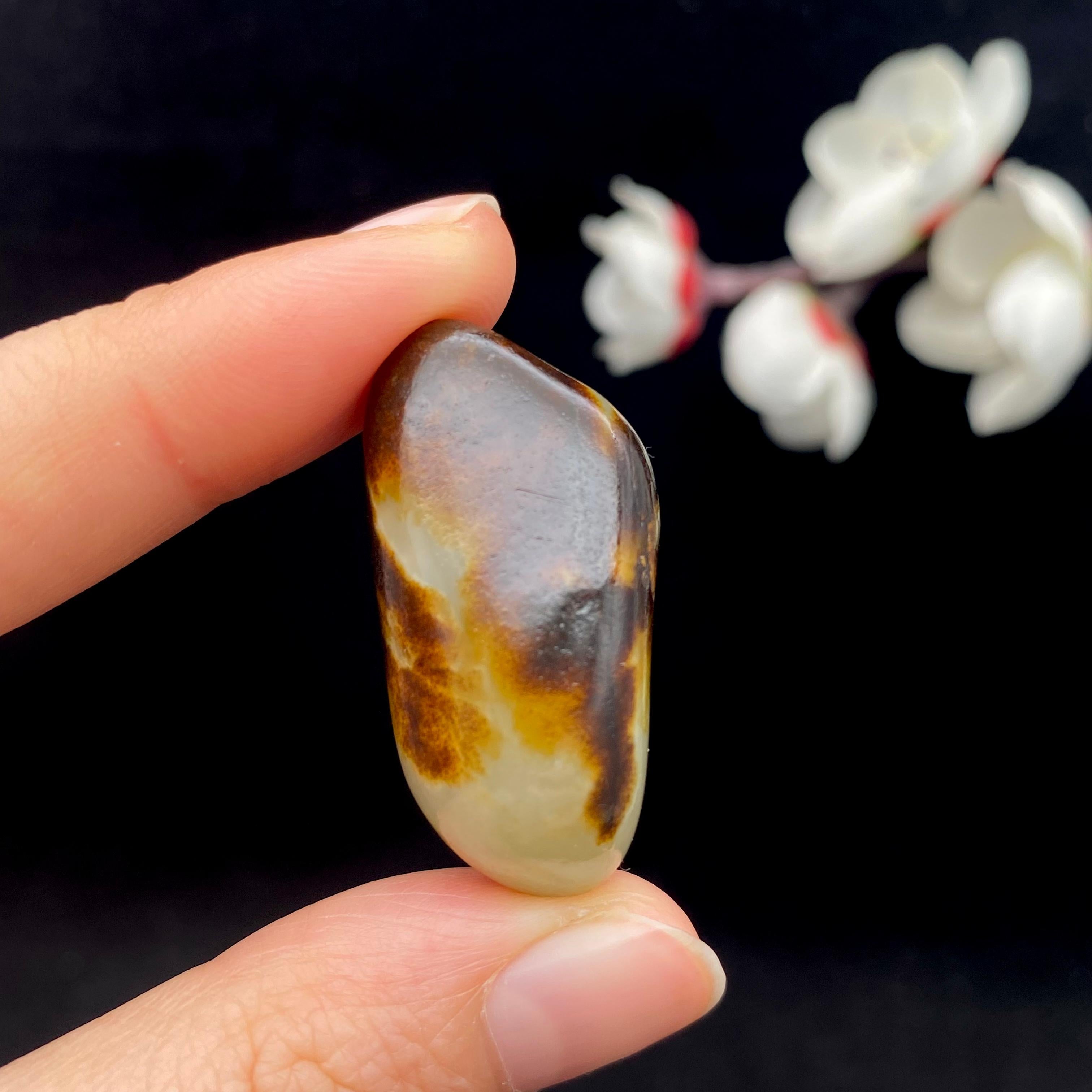 和田玉秋梨黑皮籽料（16.5g）