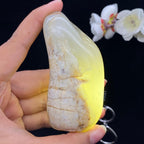 和田玉白玉籽料手把件（189g）