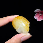 秒杀和田玉籽料龙龟挂件（33.1g）