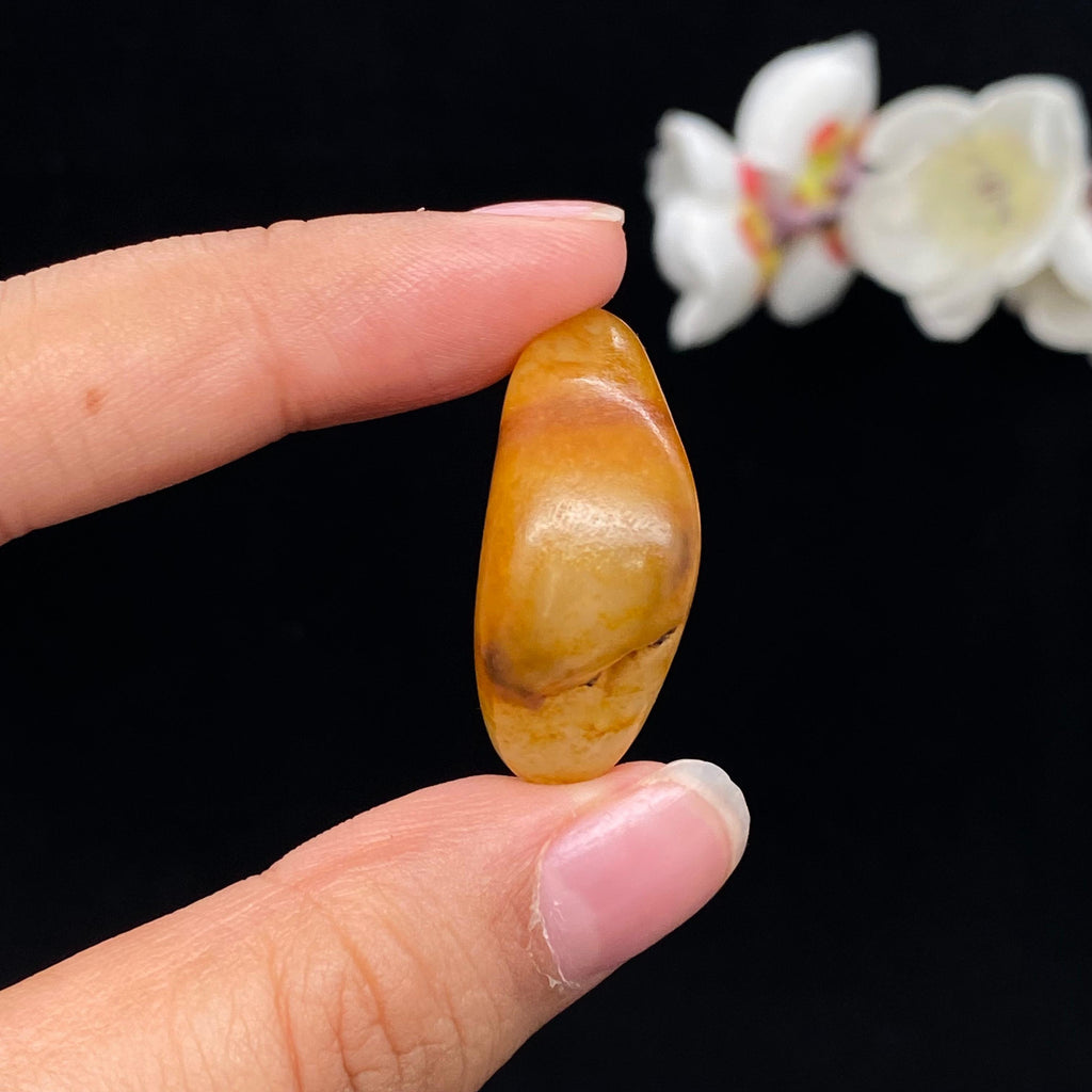 和田玉聚黄皮籽料吊坠籽（11.3g）