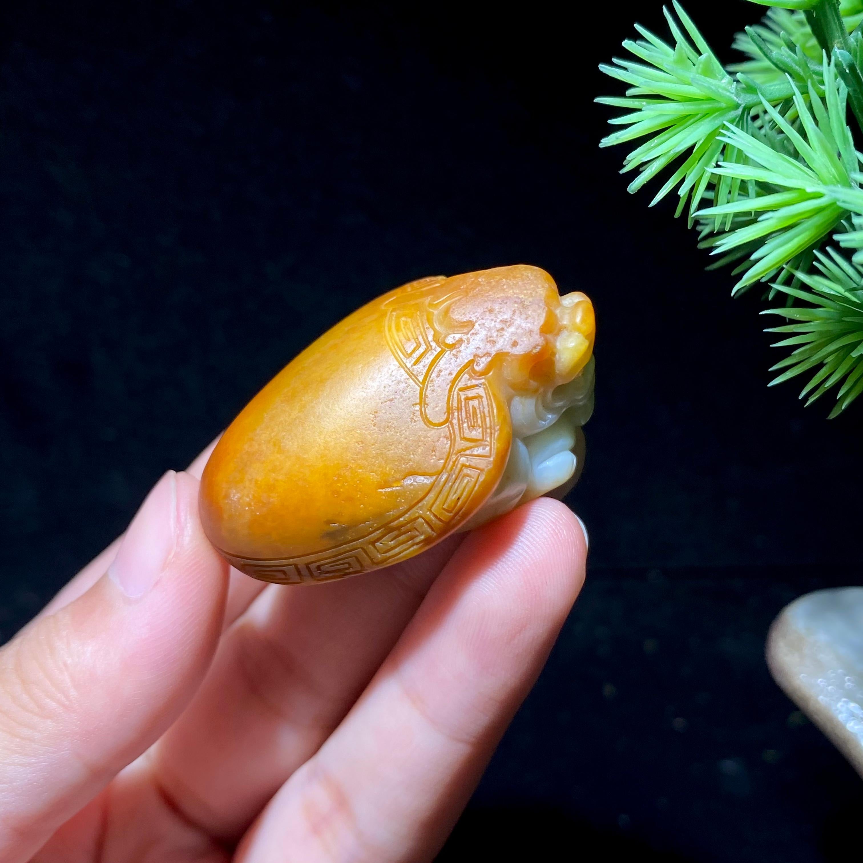 和田玉籽料龙龟（31.5g）