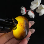 和田玉聚黑皮籽料原石（33.5g）