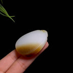 和田山料糖白玉竹叶无事牌（34.4g）