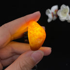 和田玉满红皮籽料吊坠籽（11.9g）