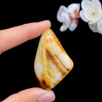 和田玉聚红皮籽料挂件（66.2g）