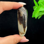 和田玉秋梨黑皮籽料挂件（39.5g）