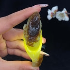 秒杀和田玉青白玉带糖【龙守元宝】手把件（77.8g）