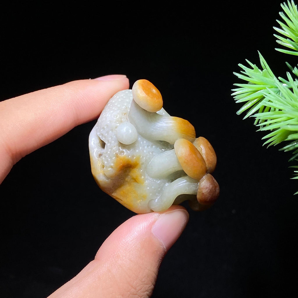 【超值推荐】和田玉籽料一夜发（30.7g）