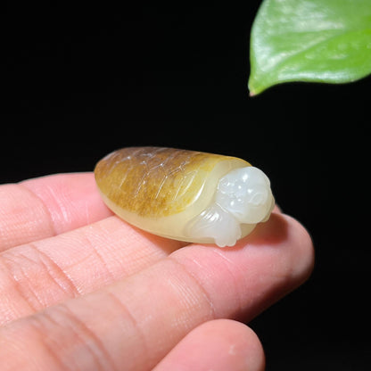 和田玉籽料秋梨皮玄龟挂件（11.6g）