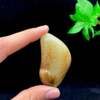 和田玉秋梨皮籽料手把件（75.5g）