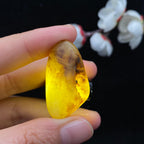 【超值推荐】和田玉秋梨黄皮籽料挂件（17.4g）