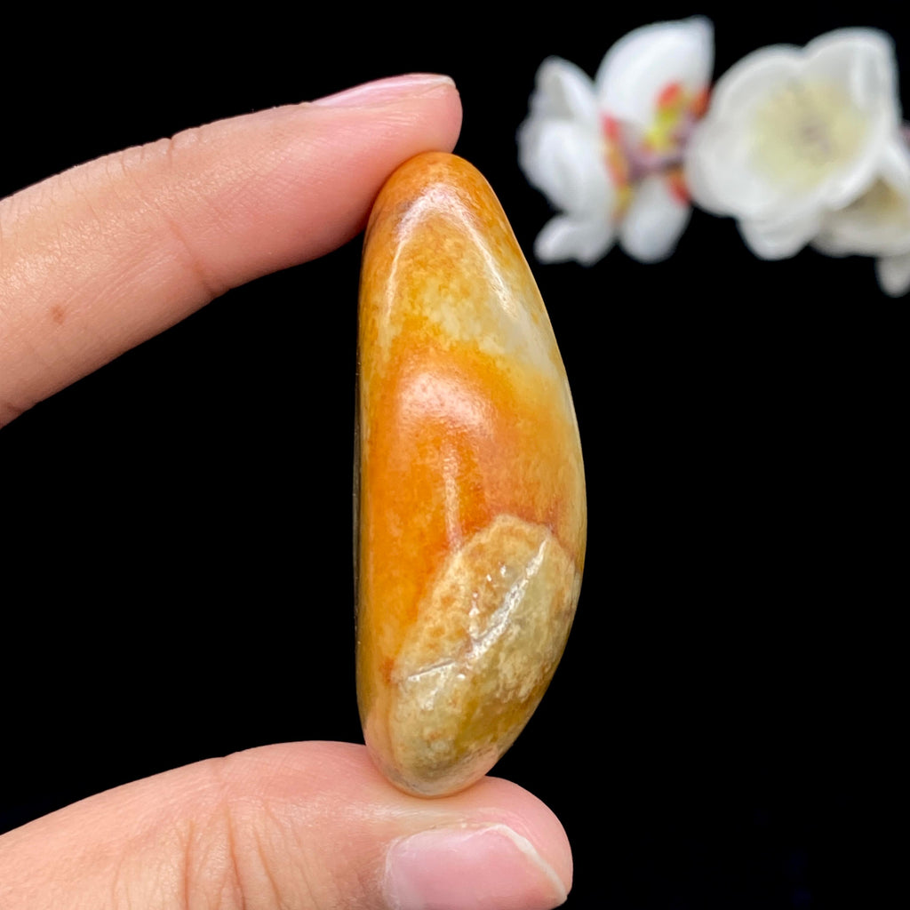 和田玉聚黄皮籽料（51.1g）