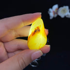 和田玉黄皮籽料挂件（18.2g）