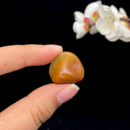 和田玉聚黄皮籽料吊坠籽（7.8g）