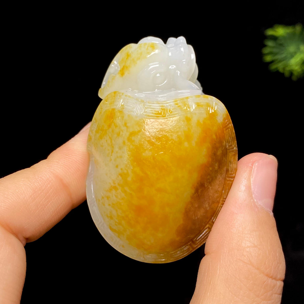 和田玉籽料龙龟（68.9g）