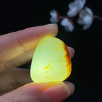 和田玉红皮籽料吊坠籽（12g）