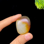 和田玉秋梨皮白肉籽料（36.4g）