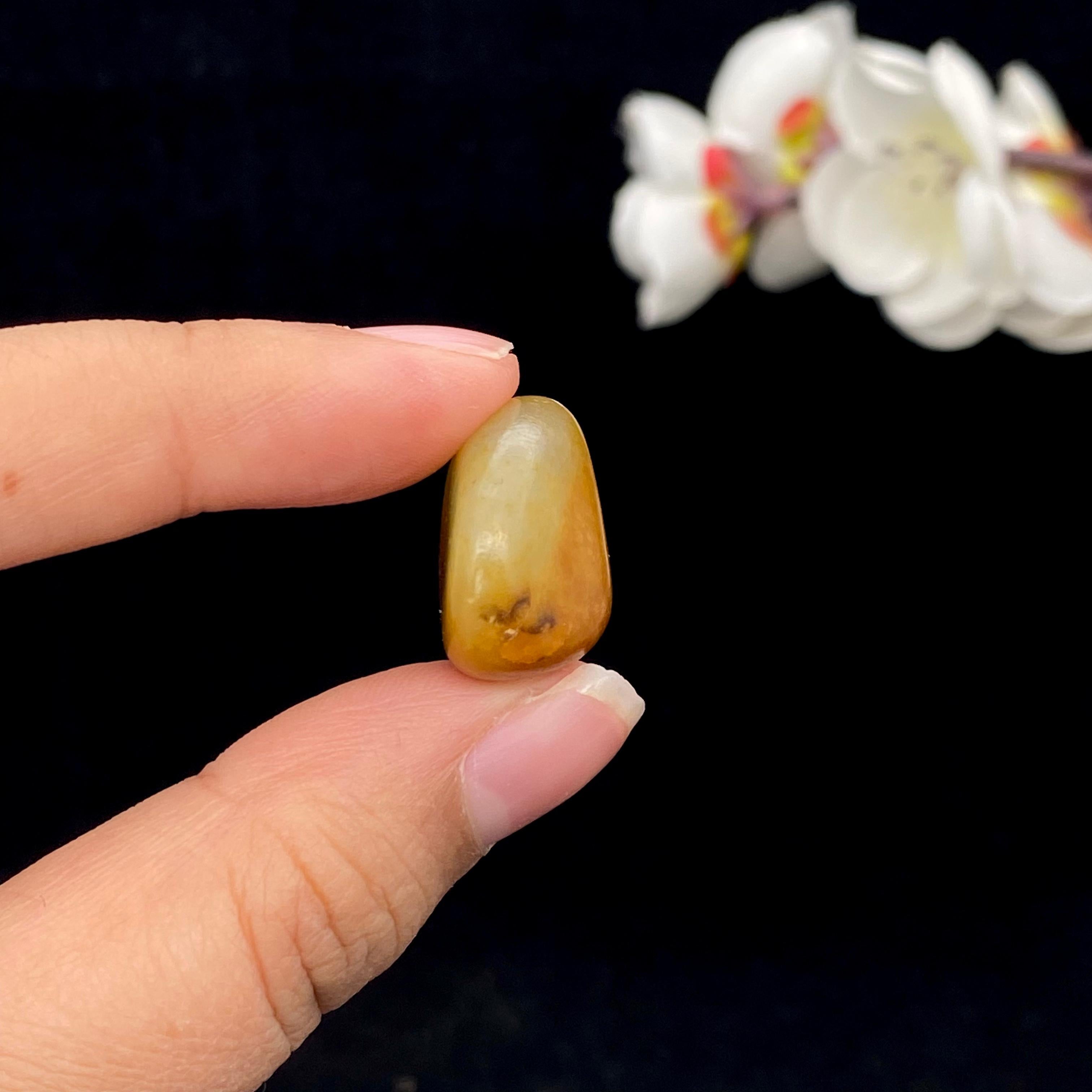 和田玉聚黄皮籽料吊坠籽（7.8g）
