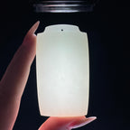和田玉白玉无事牌（61.9g）