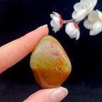 和田玉聚红皮籽料挂件（23.5g）