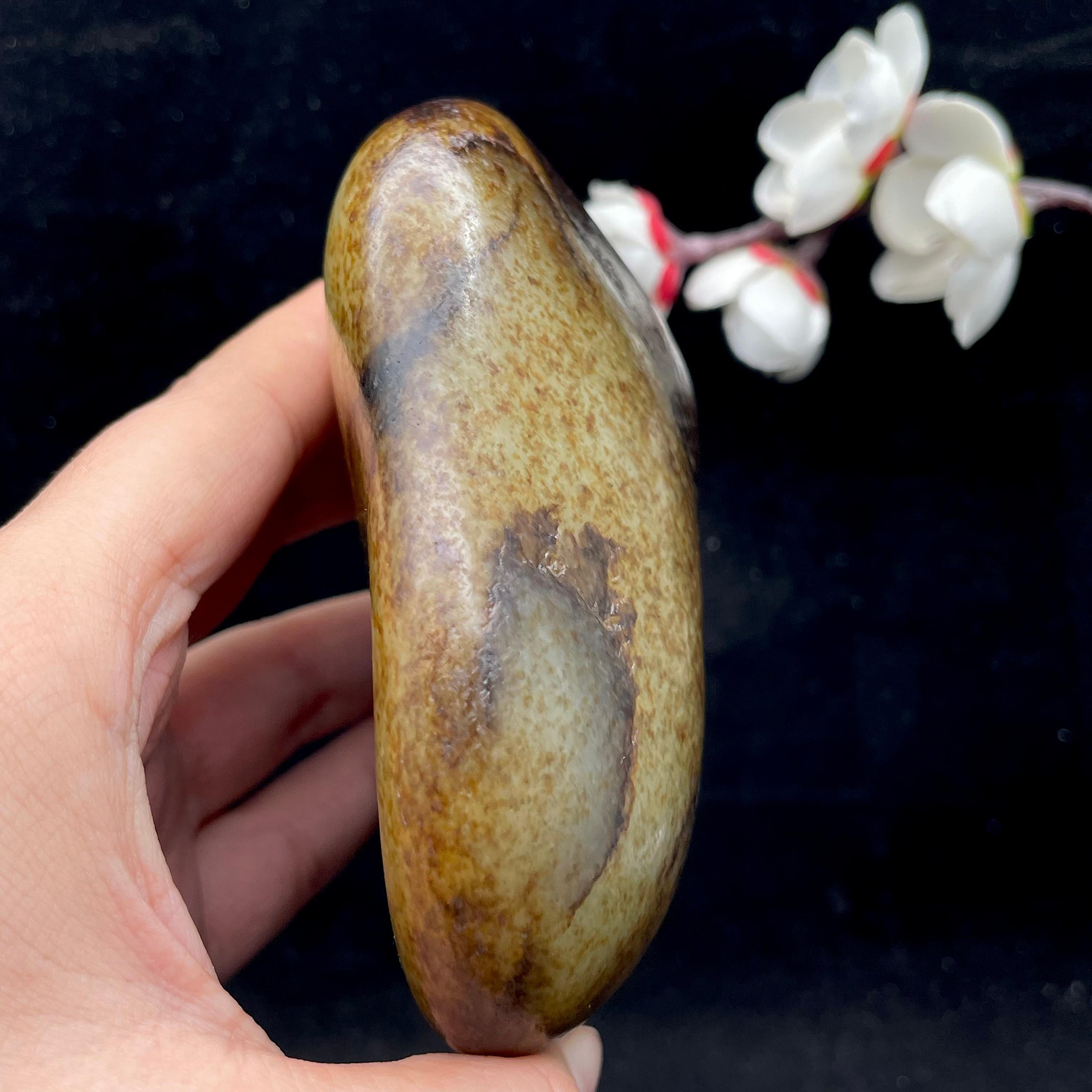 和田玉聚黑皮籽料（509.1g）