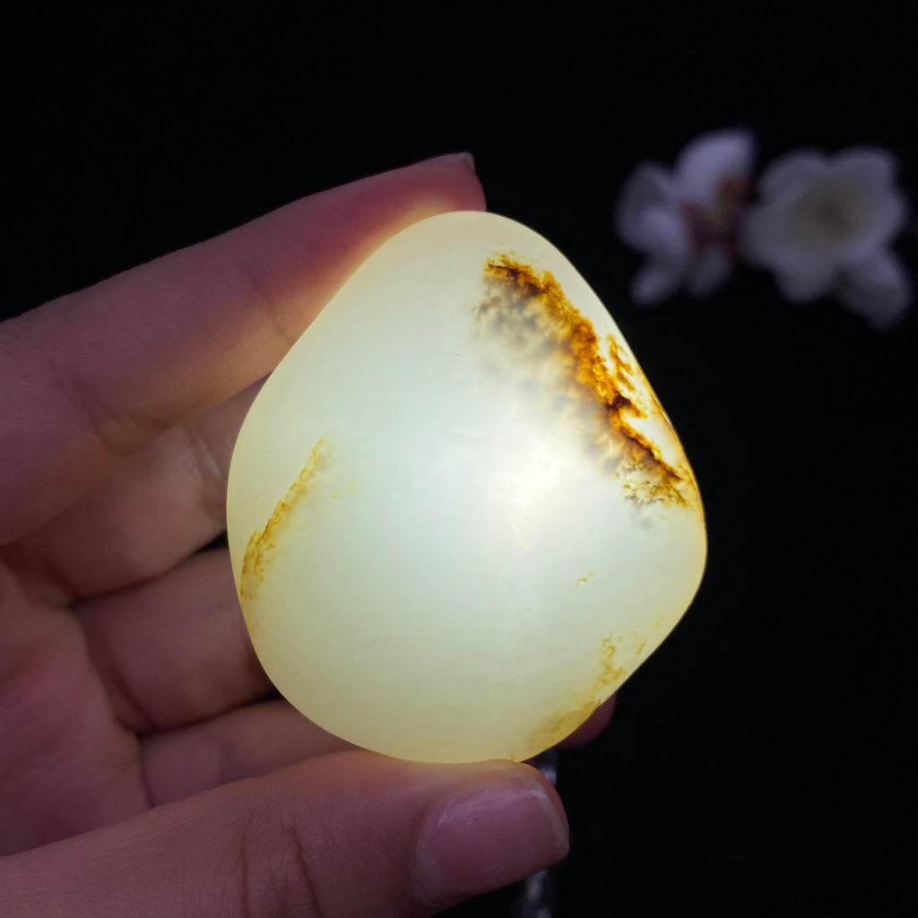 和田玉白玉带黄皮籽料（46.2g）