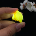 和田玉聚黑皮籽料吊坠籽（9g）