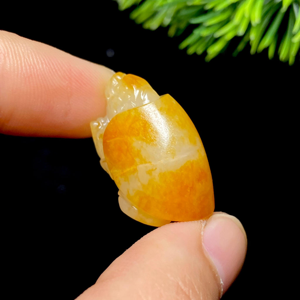 和田玉籽料龙龟（9.3g）