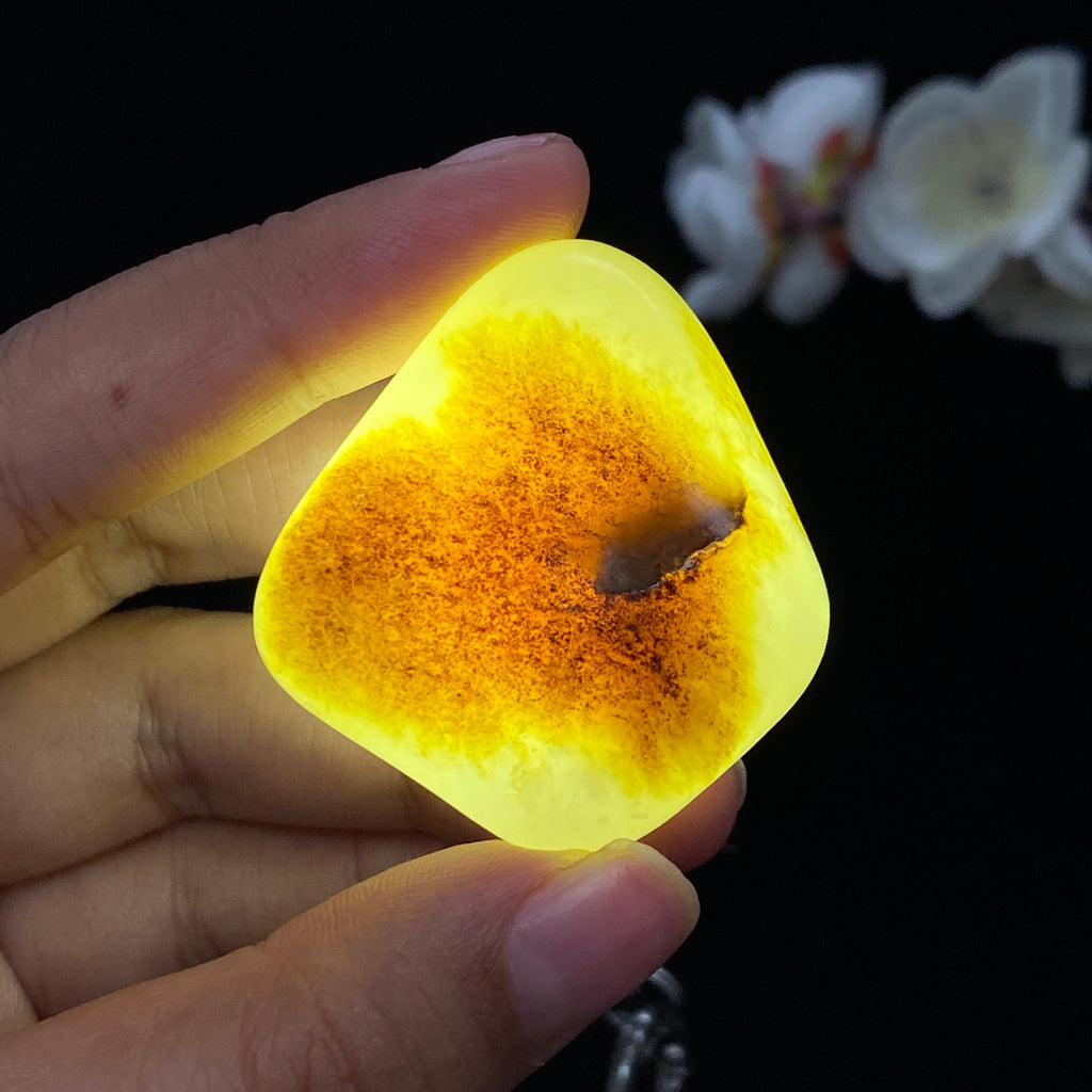 和田玉聚黄皮籽料（43.7g）